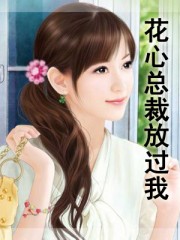 花心总裁追前妻在线观看