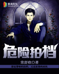 危险拍档epub