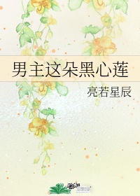 《男主这朵黑心莲》作者:亮若星辰