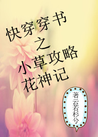 攻略系统 小花