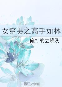 无懈可击之高手如林电视剧角色介绍