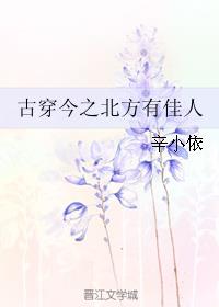 北方有佳人有声小说