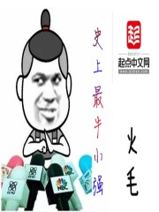 小说盖世战王全书