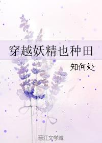 穿越妖精的旋律的小说叫什么