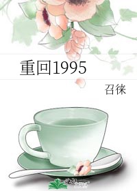 重回1995年 天涯