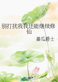 别打扰我修仙 茶茶木txt