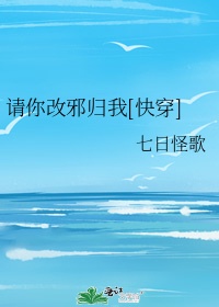 请你改邪归我 流兮冉