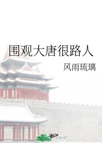 围观大唐石子轩宁楚相认