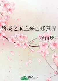 终极技能是什么意思