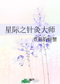 星际之针灸大师TXT