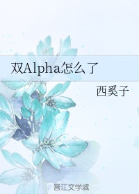 双alpha怎么了小说讲的什么