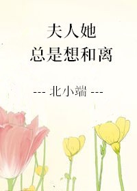 她总是想离婚 全文阅读