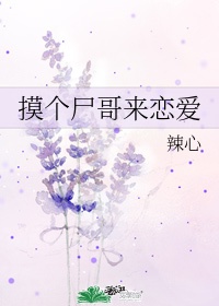 摸尸p值得买吗